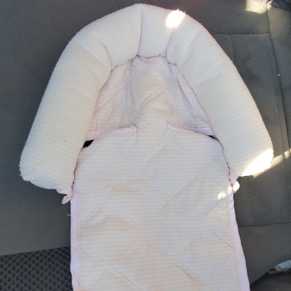 Car seat insert